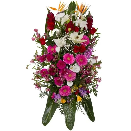 Palma funebre americana premium